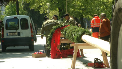 Flash_Maibaum_Linz_Landjugend_Online_Landkarte