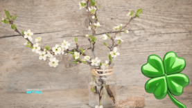 pexels-cottonbro-3952224 (2).jpg