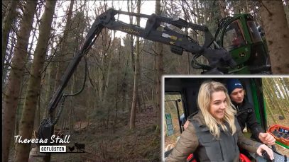 Theresa stahlgeflüster