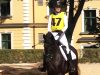 Trakehner