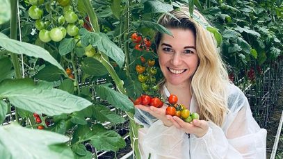 Stallgeflüster Glashaus