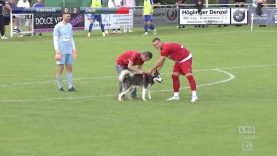 220904_Edeldweiß_Oedt