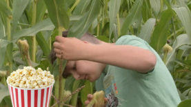 LWK Direktvermarktung
