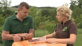 OÖ Kocht Außenschate Wild