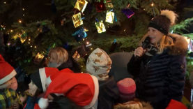 Christbaum Marchtrenk