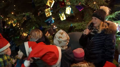 Christbaum Marchtrenk