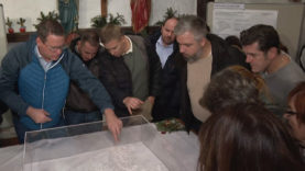 Leonding Stadtentwicklung