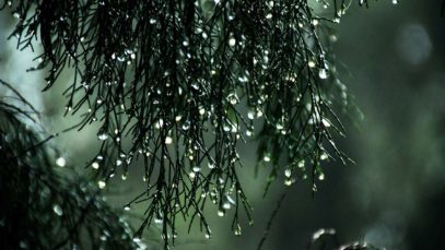 111 Wärmster Jahresstart