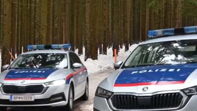 111 Schneestangenmord