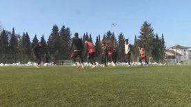 111 Bundesliga Pickerl