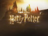 111 Harry Potter Serie