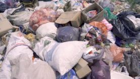 111 Lebensmittelverschwendung