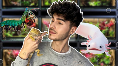 LT1_ExotischeMitbewohner