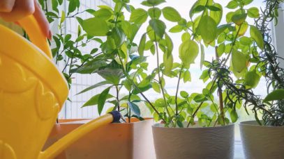 Schobesberger Garten