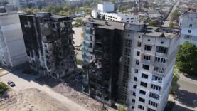 111 Entminung Van der Bellen