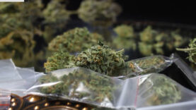 111 Trauner Drogenbaron