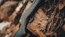 Frage zur Jagd Waffen