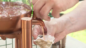 Liquid Market Muschel