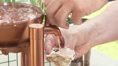 Liquid Market Muschel