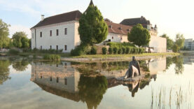 Schlosstage Traun