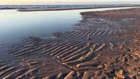 111 Grado Ebbe Klage