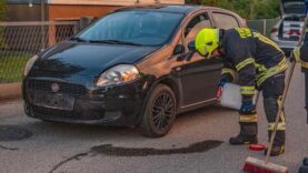 111 Kirchdorf Alkolenkerin