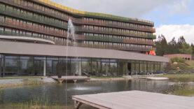 Aviva Green Traveller