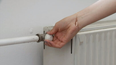 111 Gaspreisdeckel EU