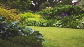 Fragen zur Jagd Garten