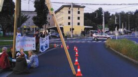 111 Klimakleber Holzgerüst