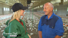 Stallgeflüster Masthühnerstall