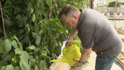 UdW Quadrille Bodner