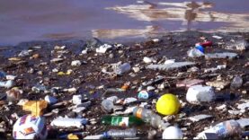 VTA Mikroplastik Gefahr