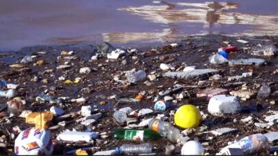 VTA Mikroplastik Gefahr