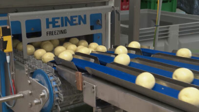 Weinbergmaier Germknödel