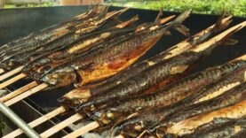 genussland Steckerlfisch