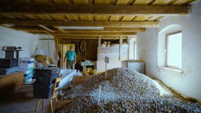 Ali Andress Kronkorken