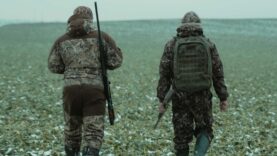 Fragen zur Jagd Weidmannssprache