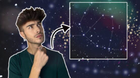 LT1_Schlangentraeger_Thumbnail