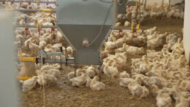 Landwirt Energielieferant