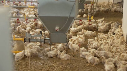 Landwirt Energielieferant