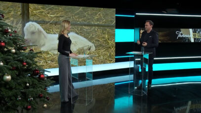 Best of Stallgeflüster