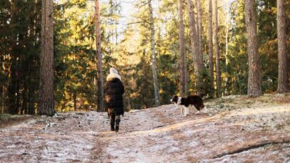 Fragen zur Jagd Wald