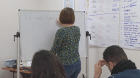 Asylwerber am Arbeitsmarkt