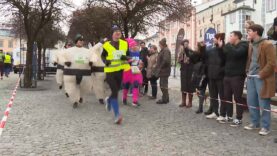 Silvesterlauf Freistadt