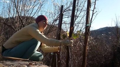 111 Garten Stressabbau