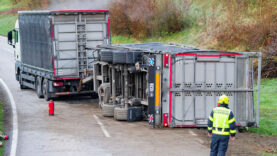 111 Hühneranhänger