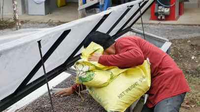 111 Kaffee Rohdungskontrollen