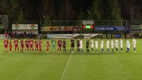 240317_Mondsee_Edelweiss