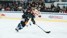 Black Wings Inside Playoffs